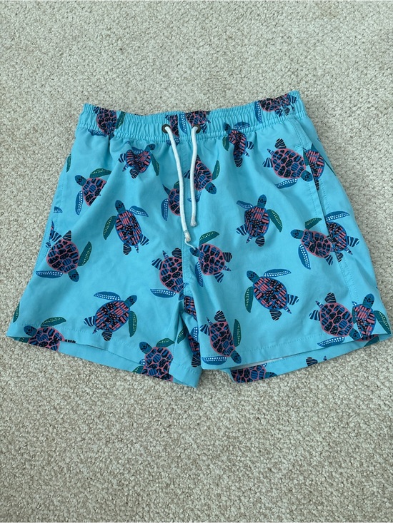 scene & heard Other - Nordstrom Boys Light Blue Sea Turtle Swim Trunks